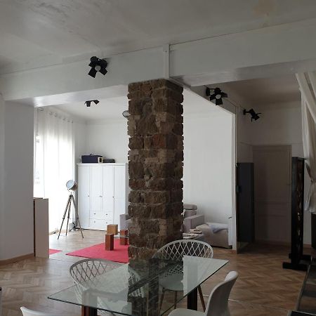 Appartement Loft Ravissant De 60 M2 Nouveau カンヌ エクステリア 写真